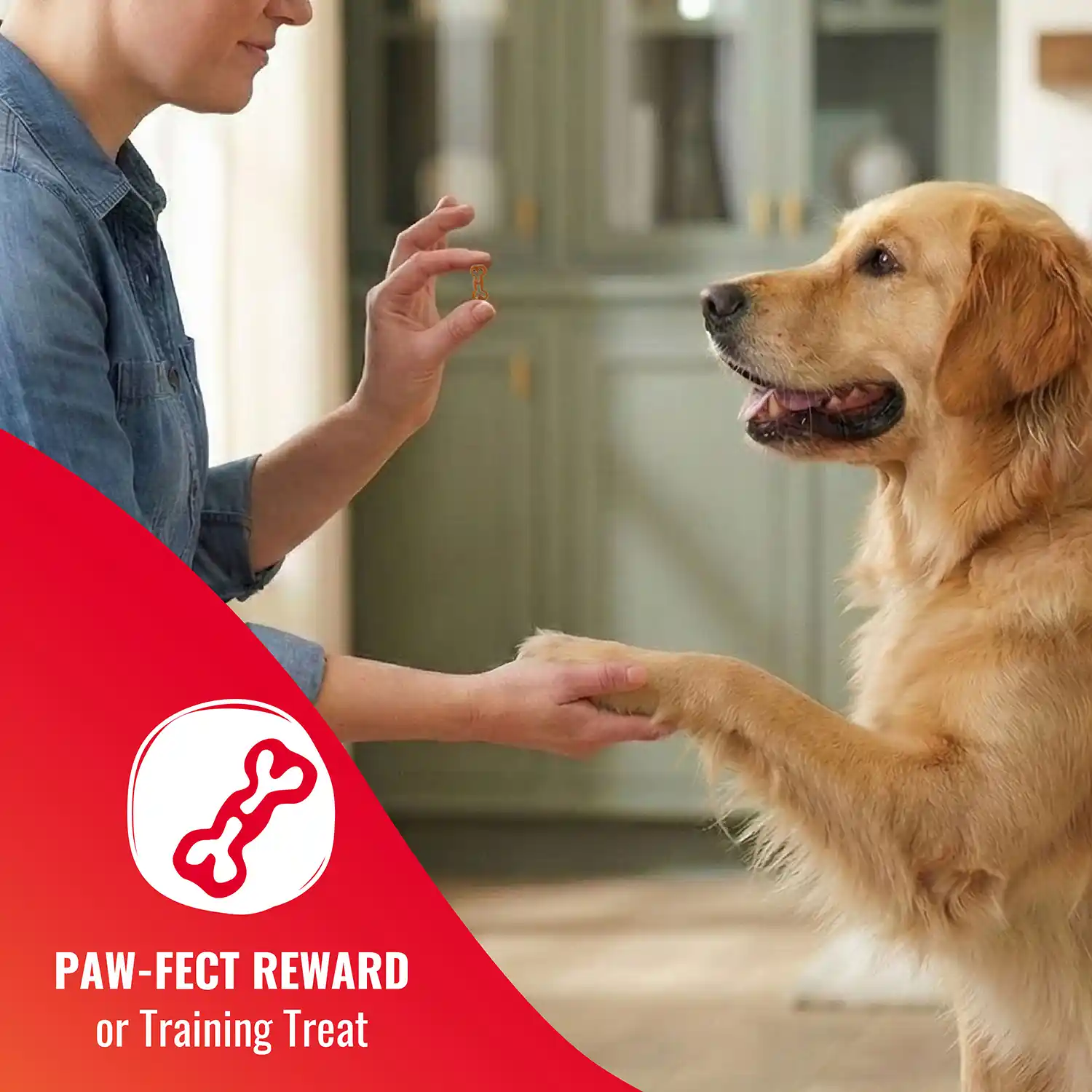 PAW-FECT REWARD or Training Treat