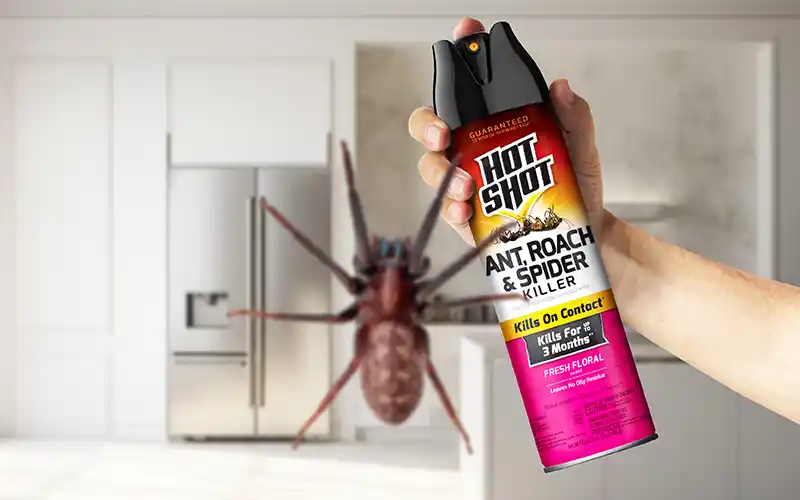 Ant, Roach & Spider Killer