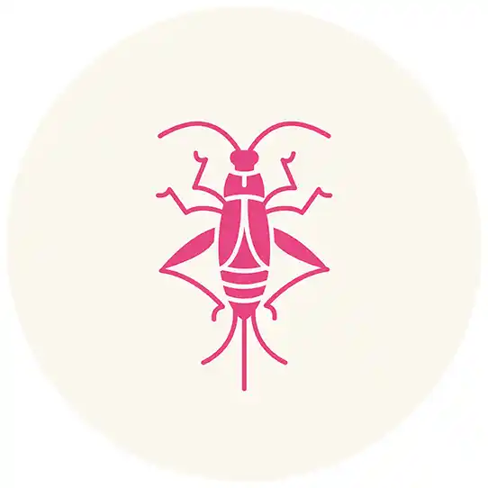 Crickets