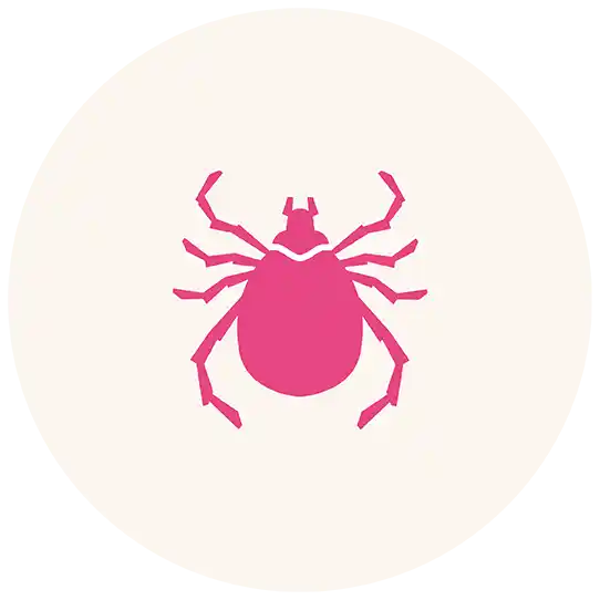 Ticks