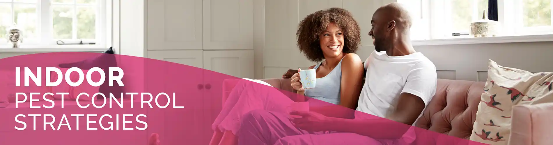Indoor Pest Control Strategies