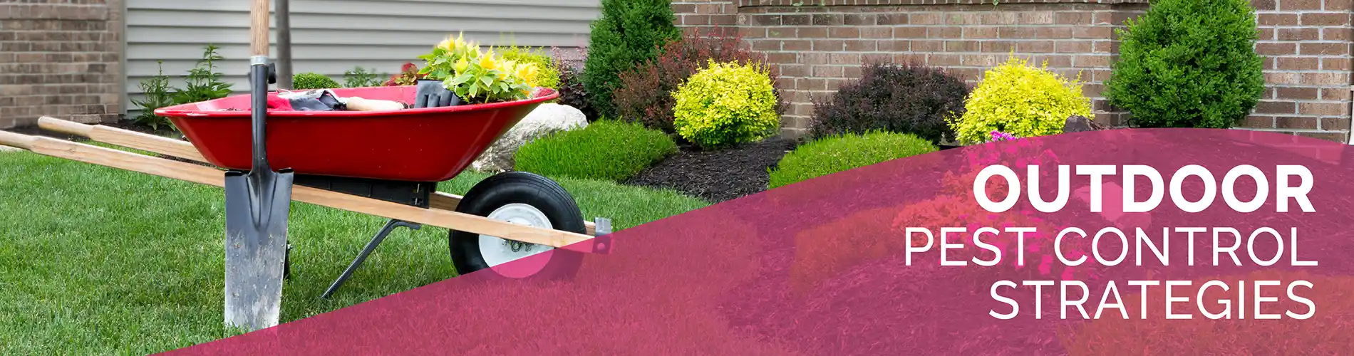 Outdoor Pest Control Strategies