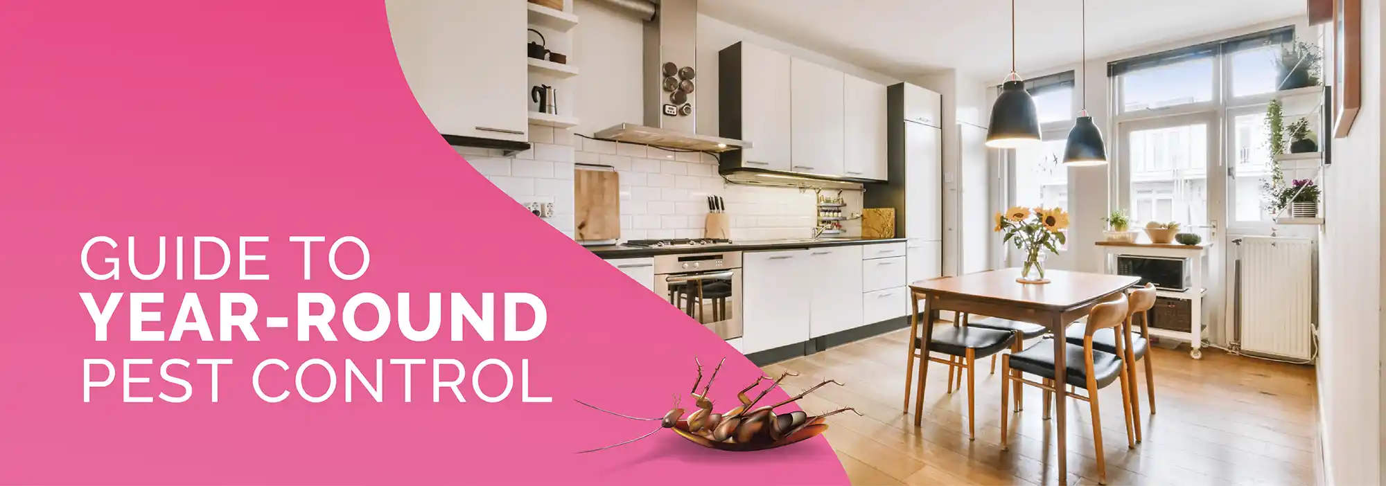 Guide to Year Round Pest Control