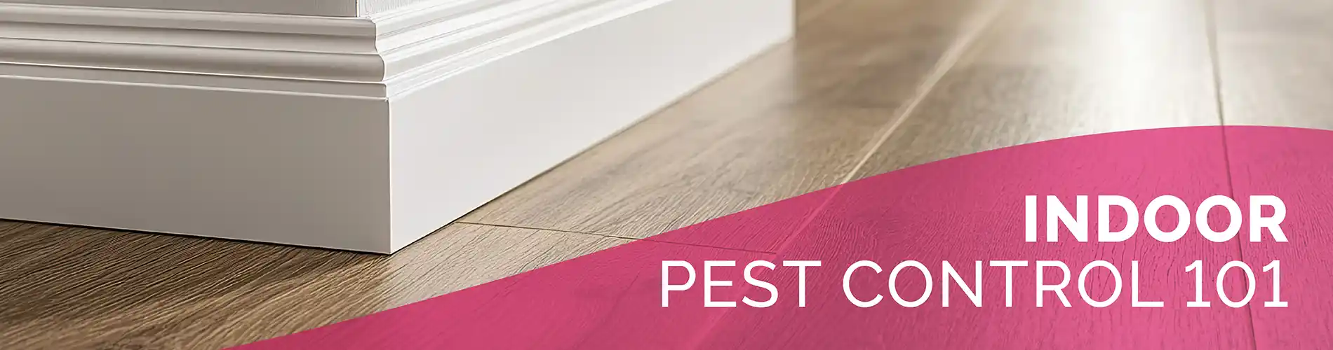 Indoor Pest Control 101