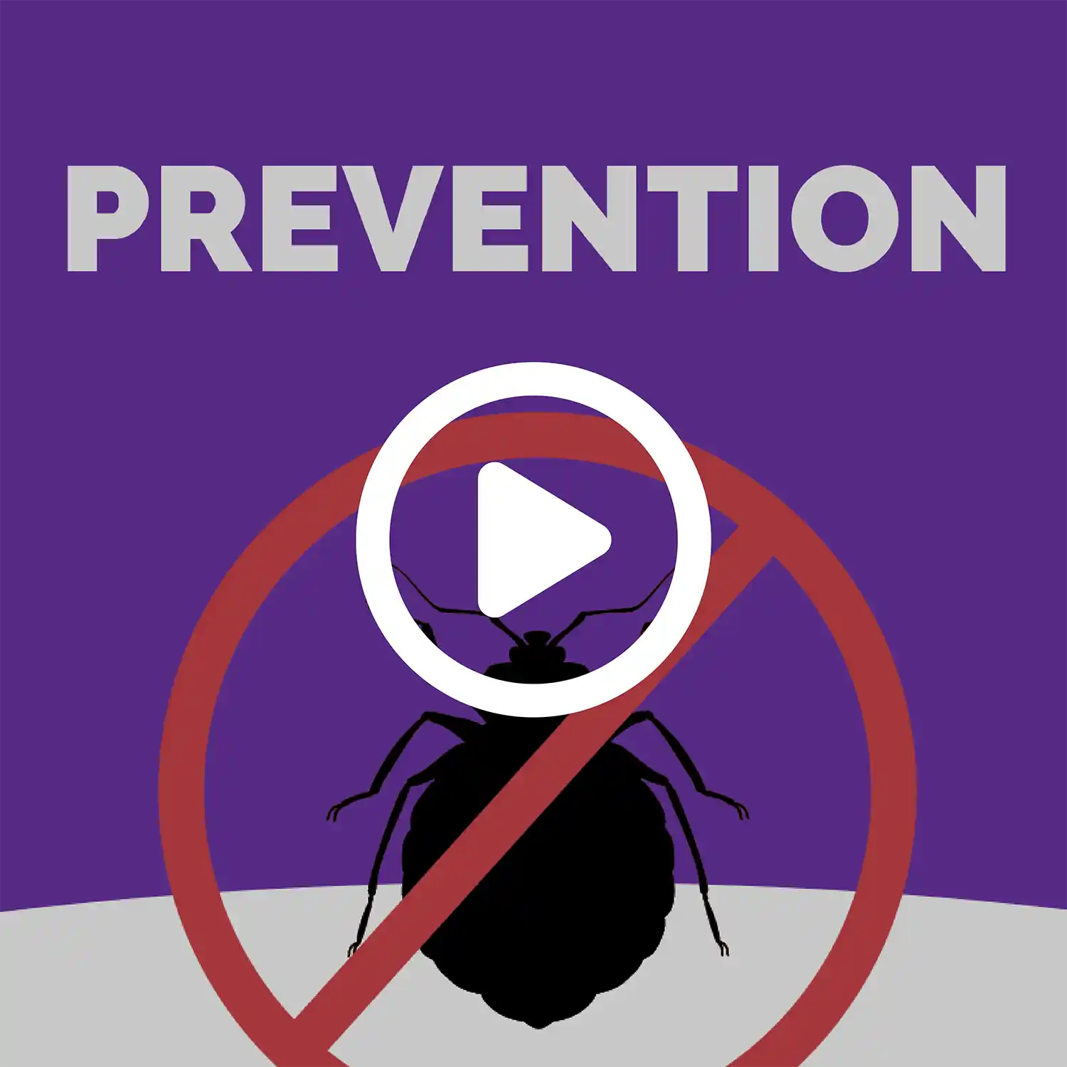 Bed Bug Prevention Video Thumbnail