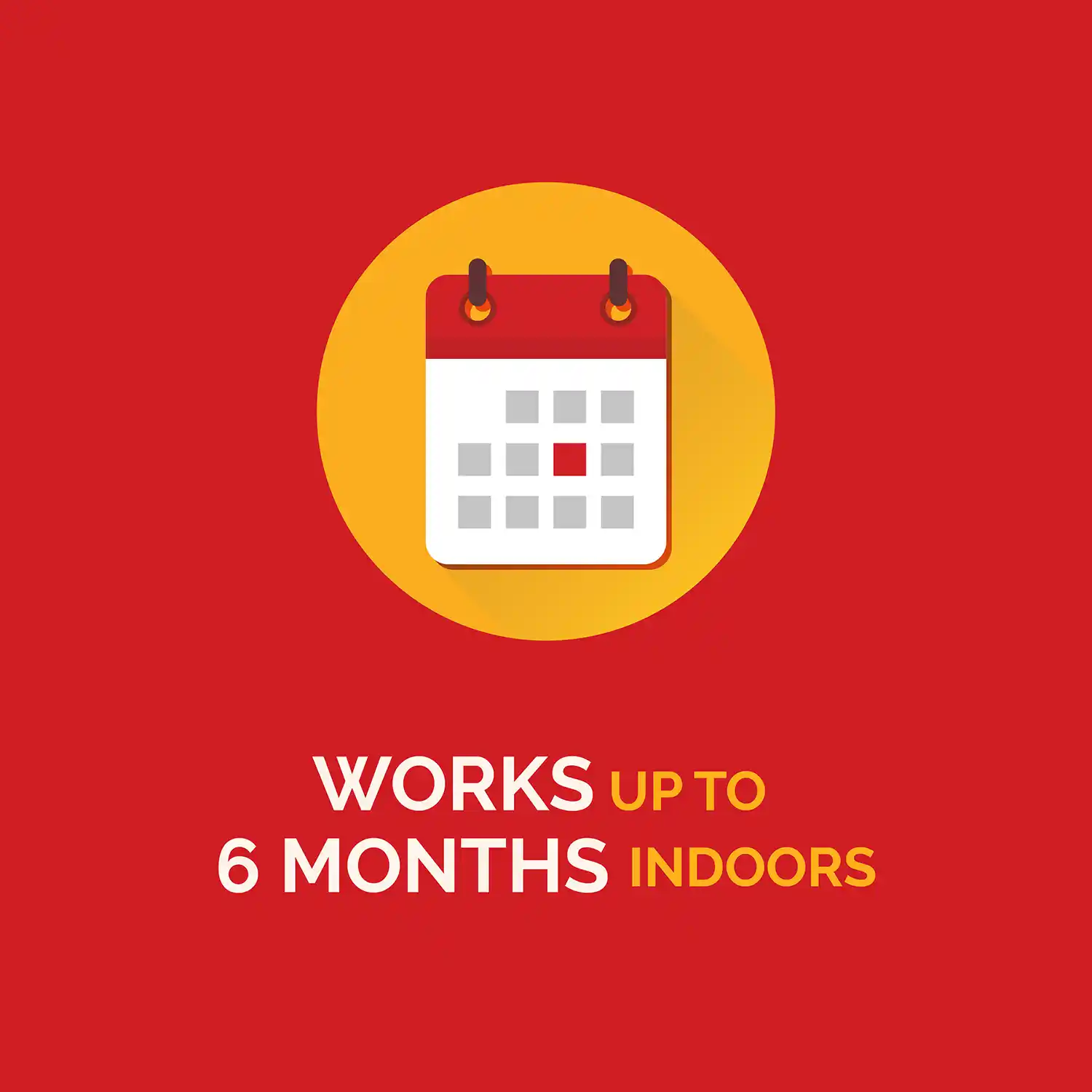 Works Up to 6 Months Indoors