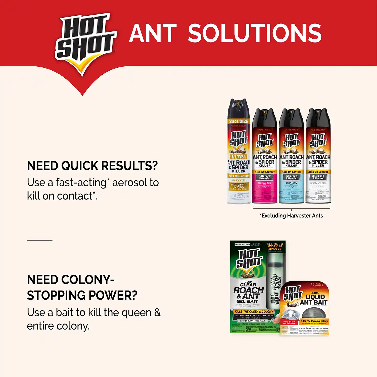 Ant Solution