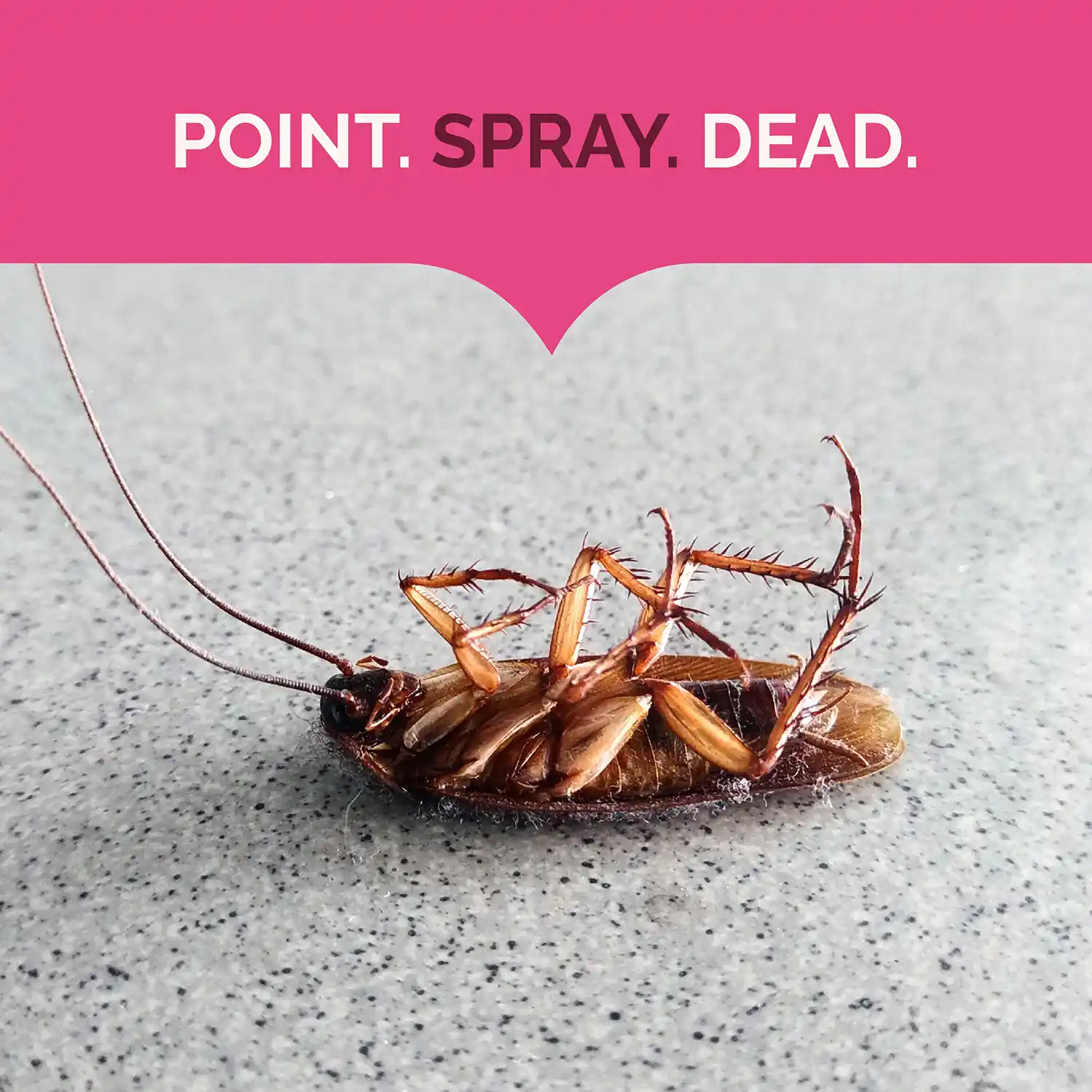 Point. Spray. Dead.