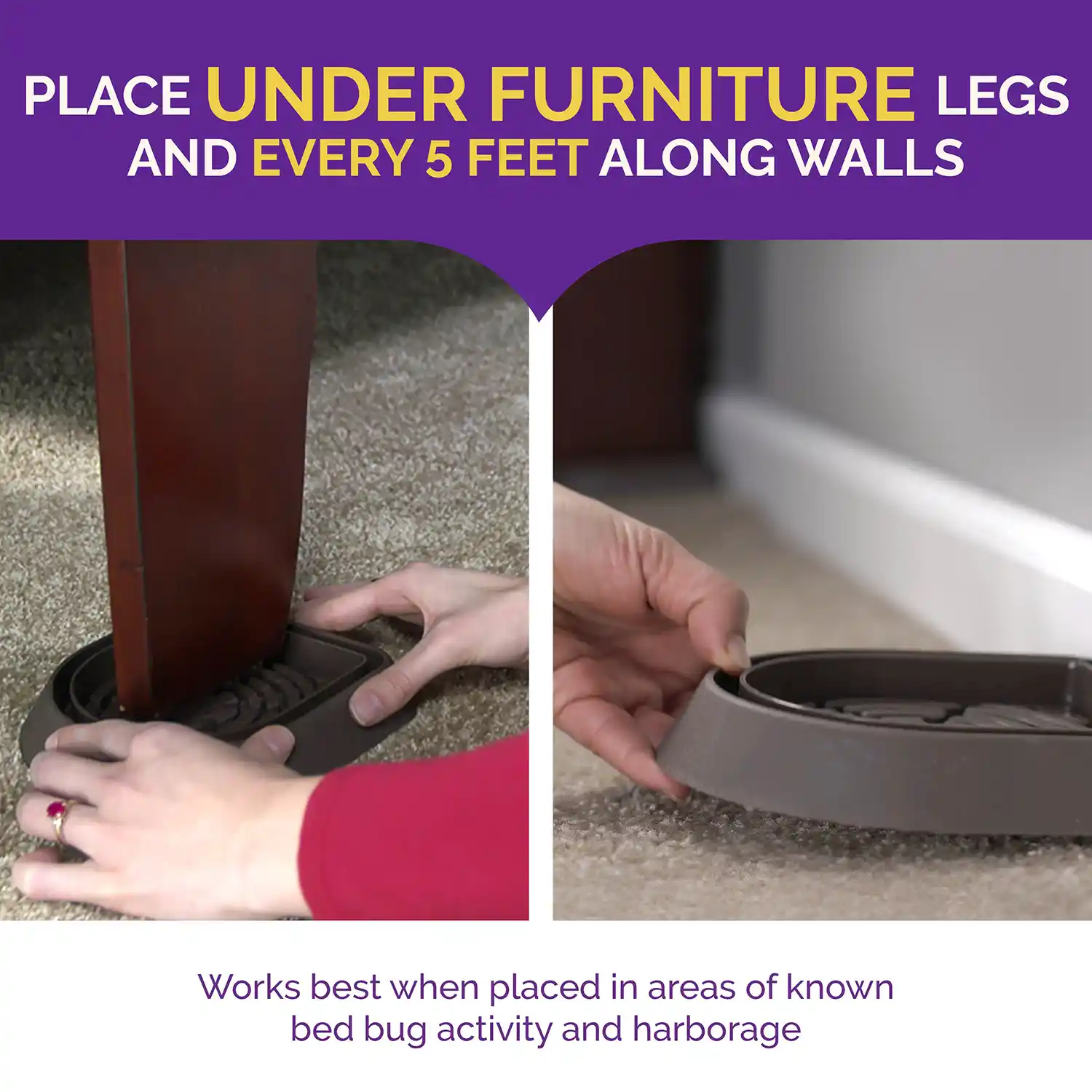 Place Under Furniture