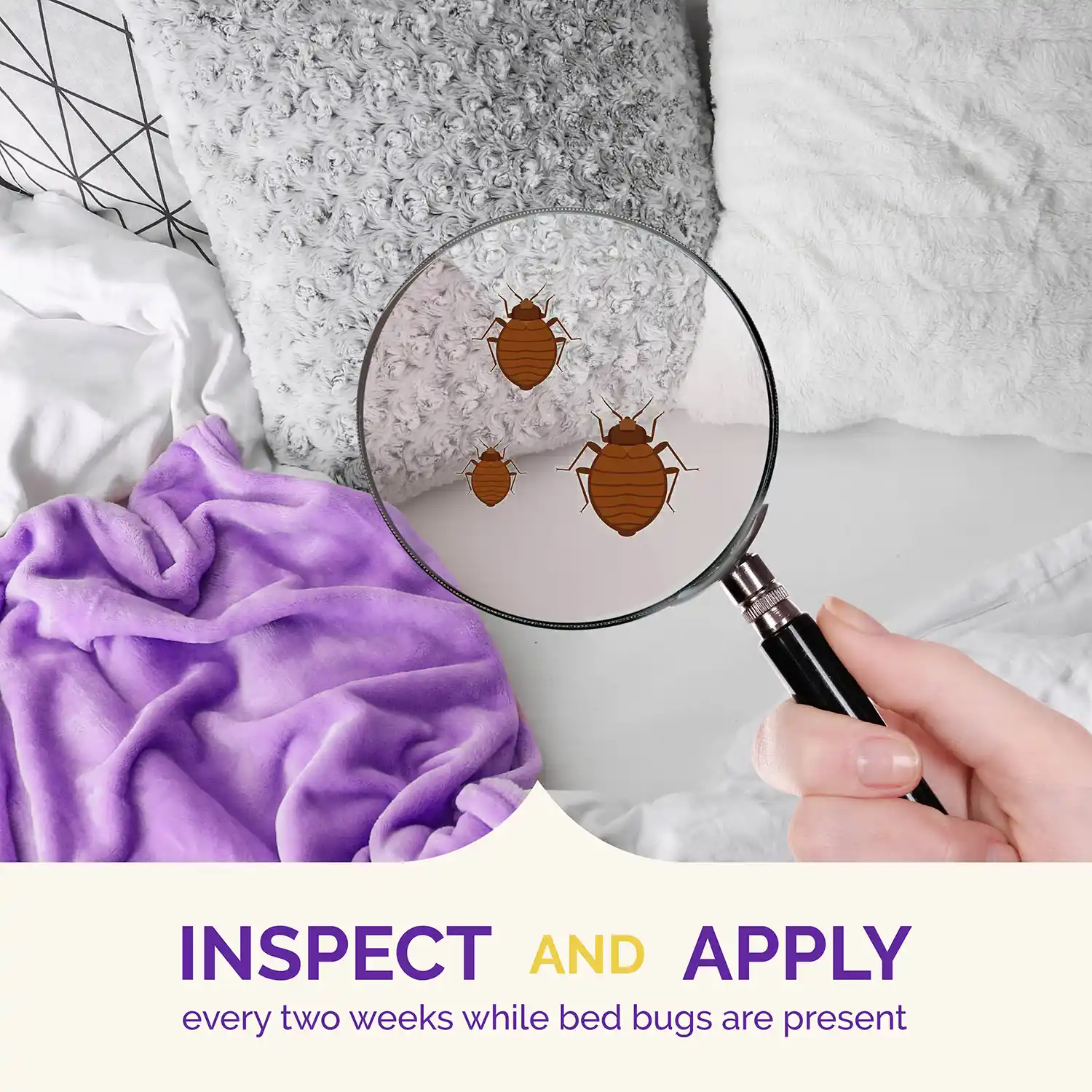 Inspect and Apply every 2 weeks