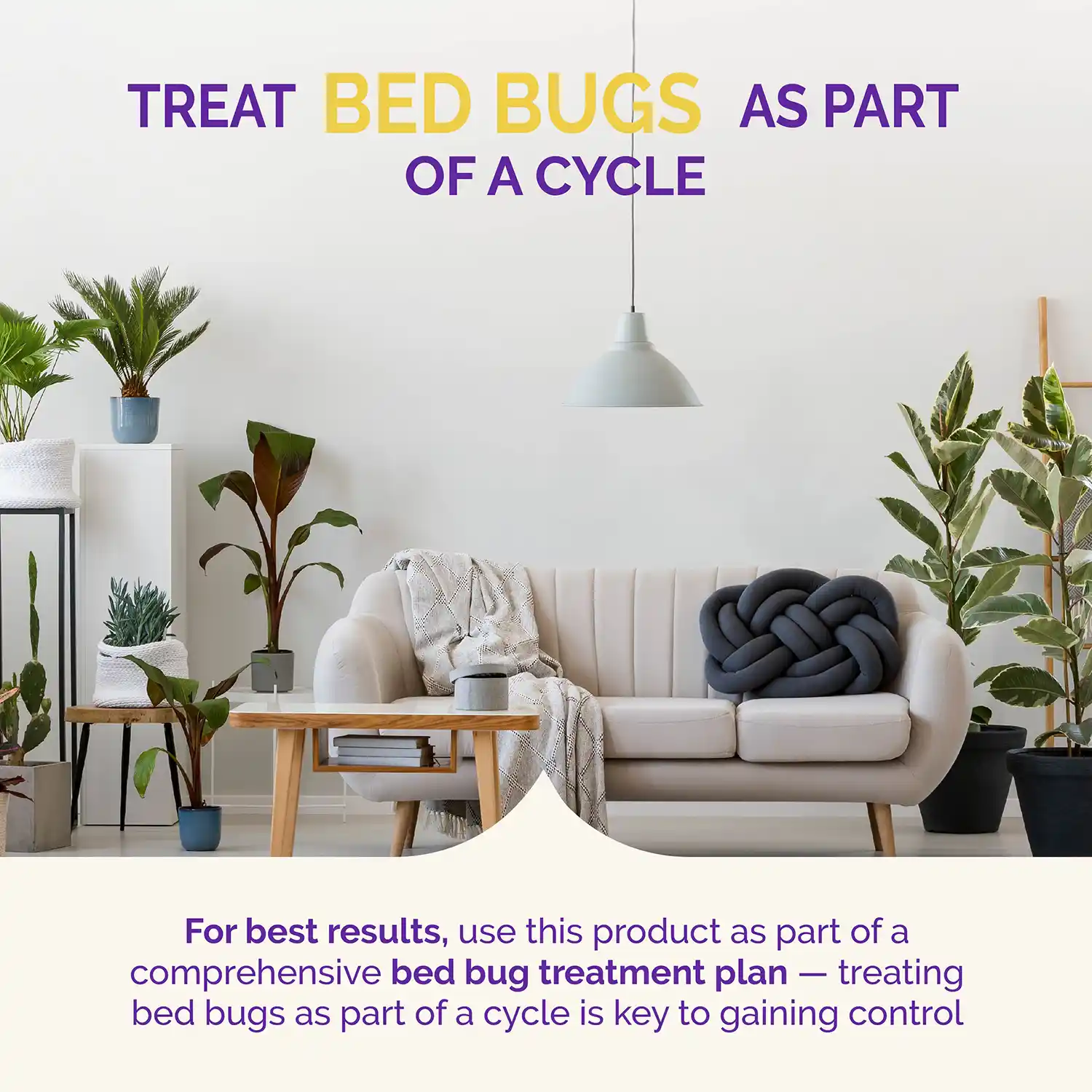 Treat Bed Bugs are part of a cycle