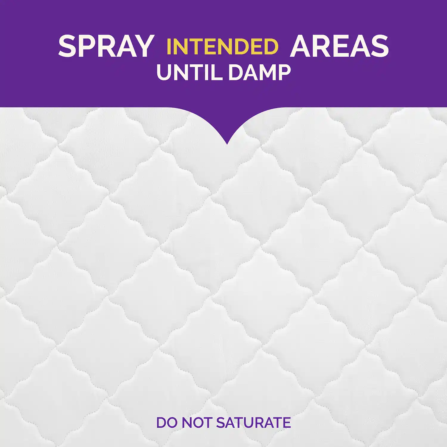 Spray Intended Areas until Damp