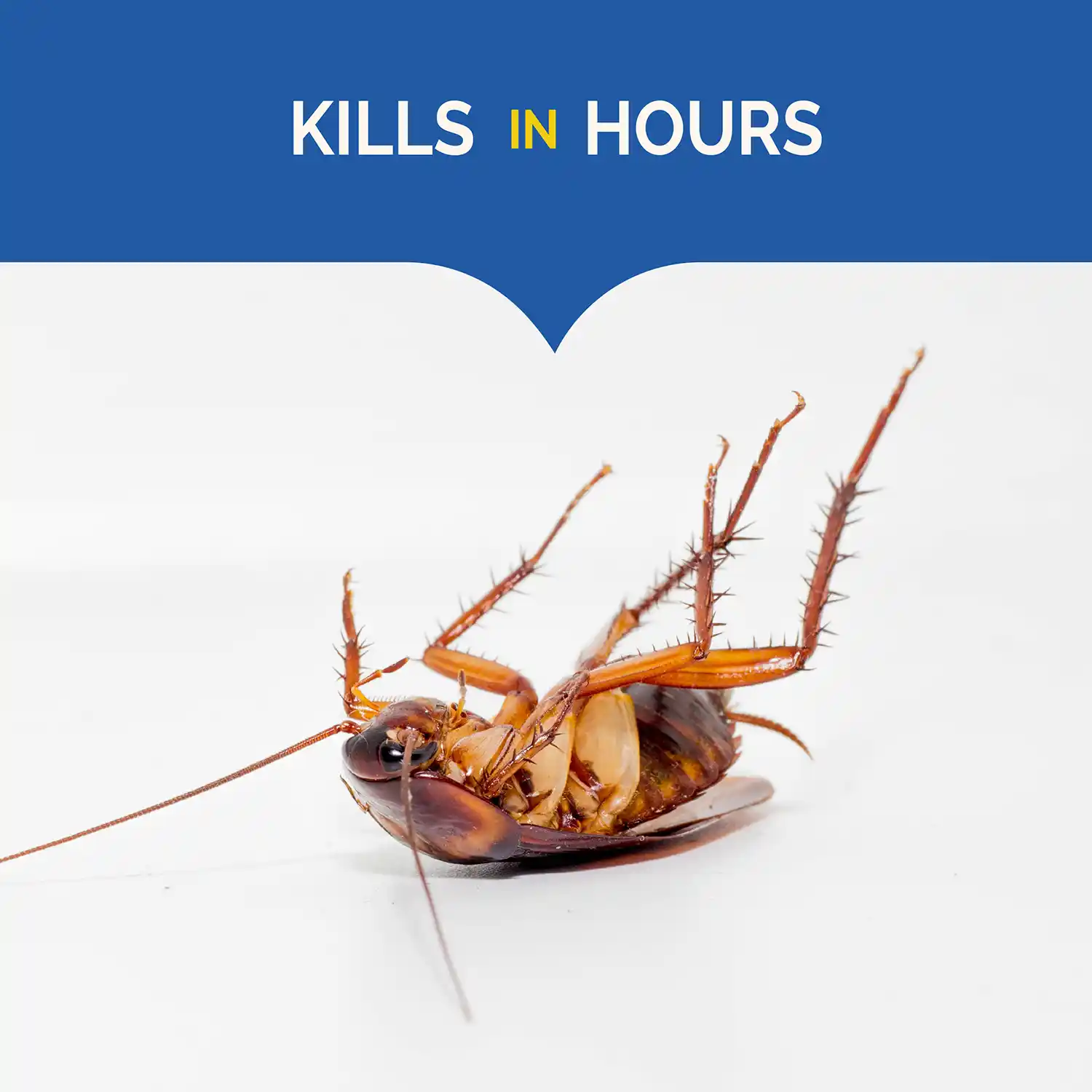 Kills in Hours