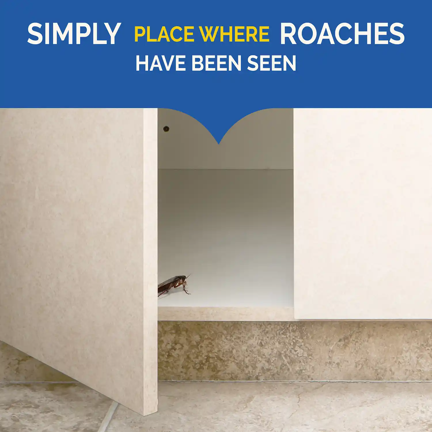 Place where Roaches have been seen