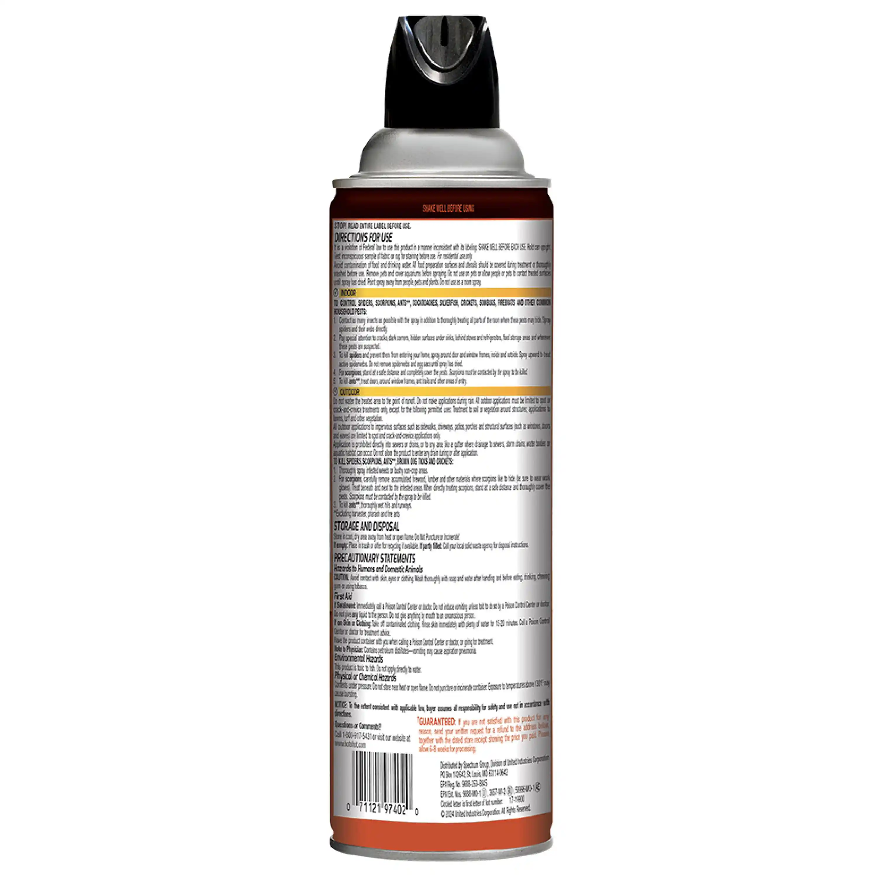 Spider & Scorpion Back