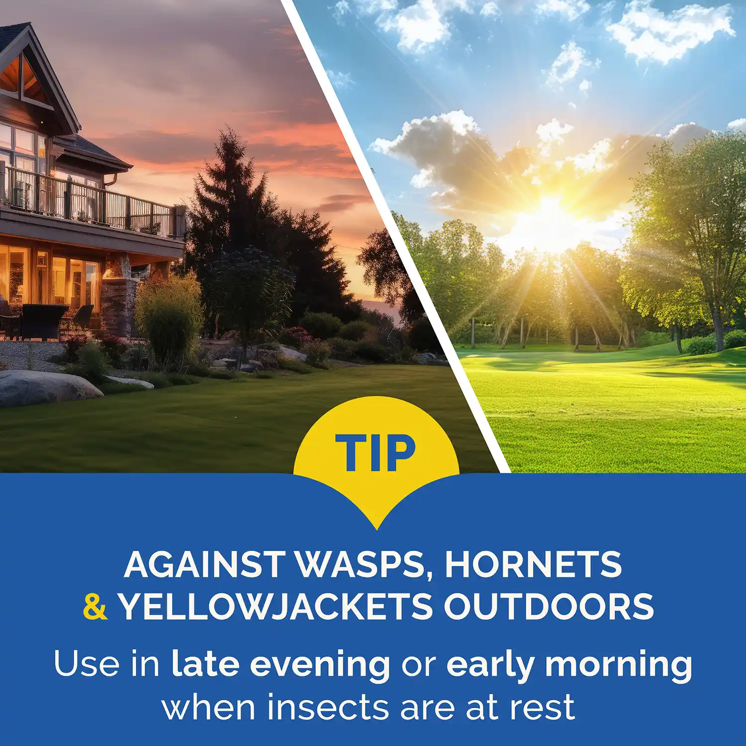 Use late evening or early morning