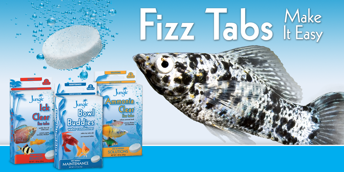 Fizz Tabs