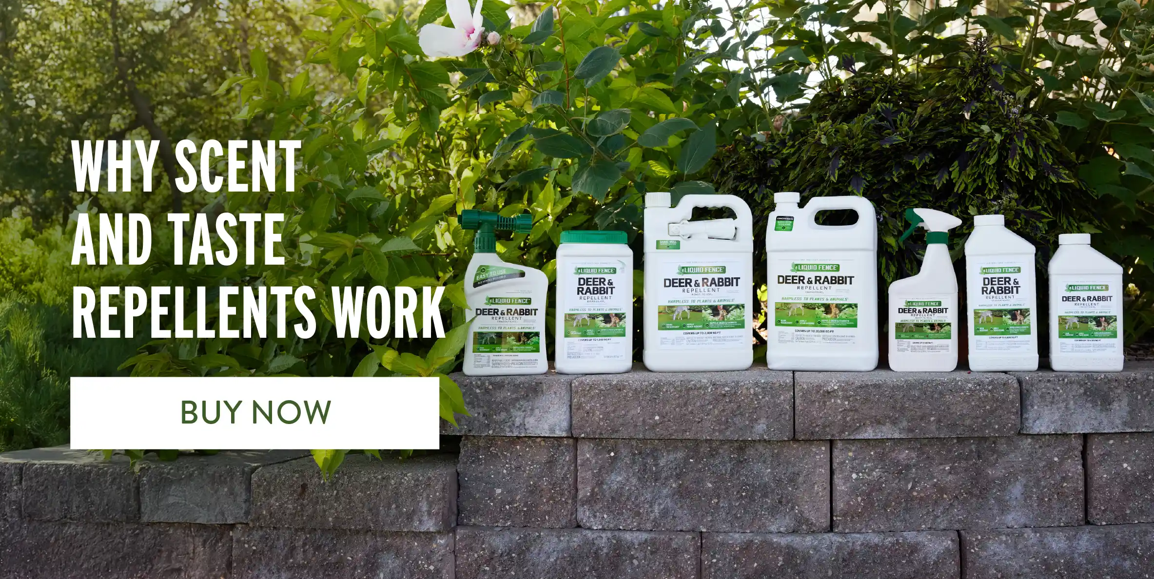Why Scent and Taste Repellents Work Mobile Banner