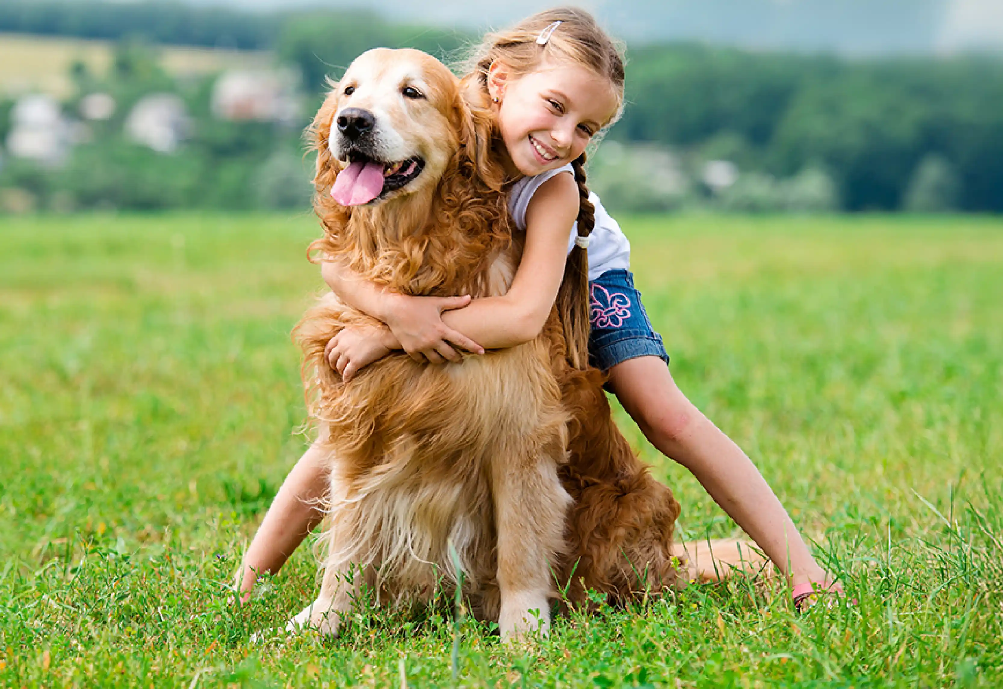 Child with Dog Image