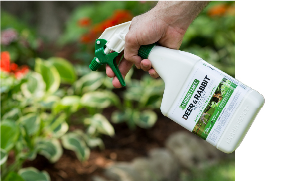 Use Garden Animal Repellent