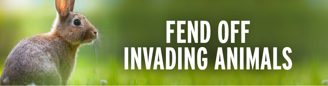 how to keep rabbits out of garden 