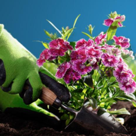 Safeguard your Garden