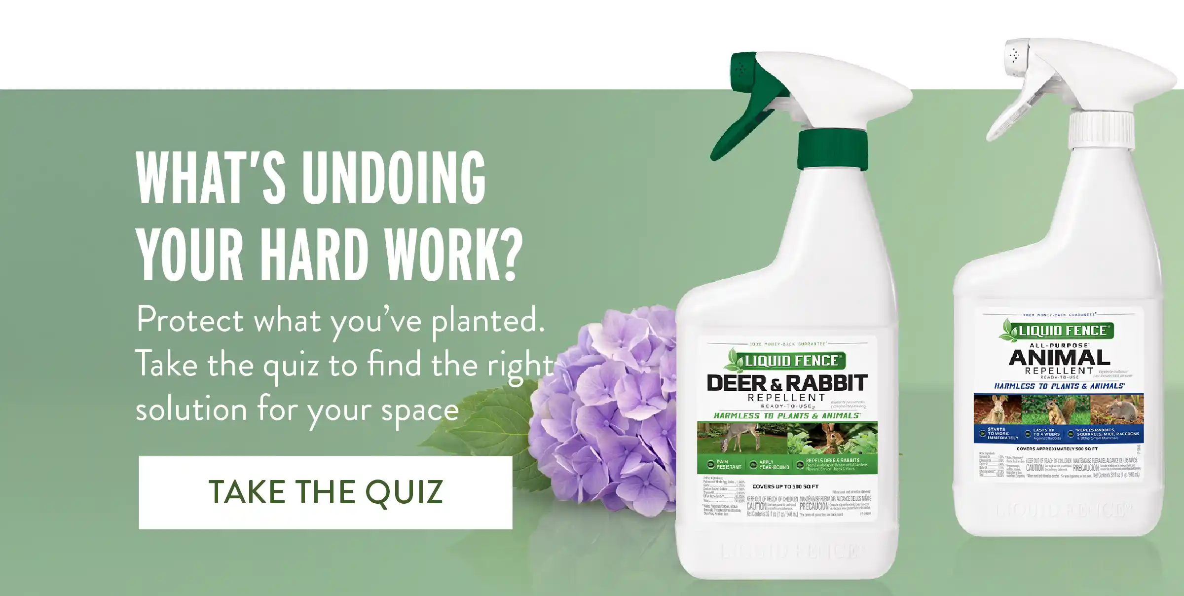 What's Undoing Your Hard Work? Take The Quiz