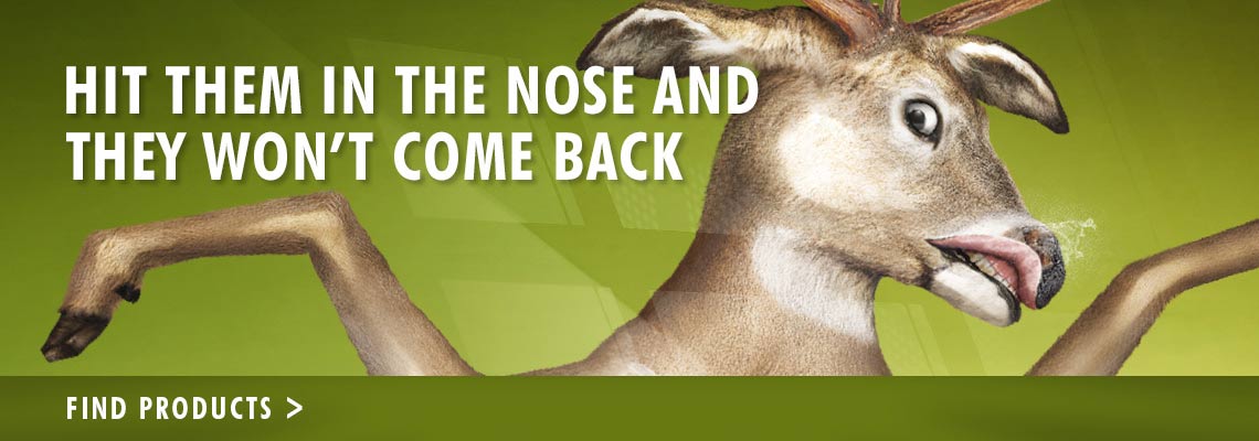 Hit Them In The Nose And They Won't Come Back