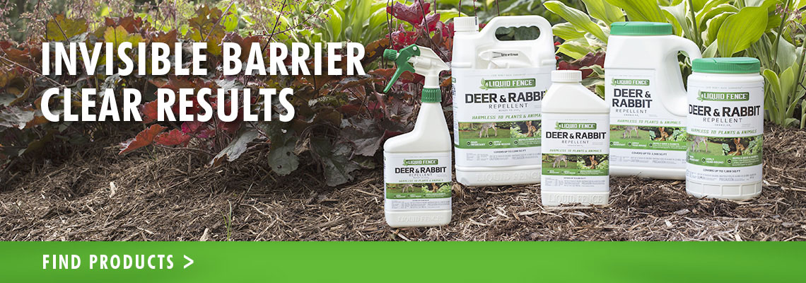 Invisible Barrier Clear Results