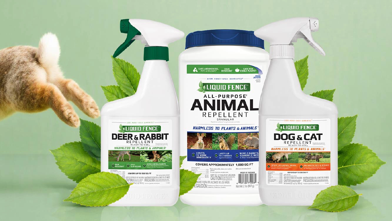Effective solutions that dont harm pets