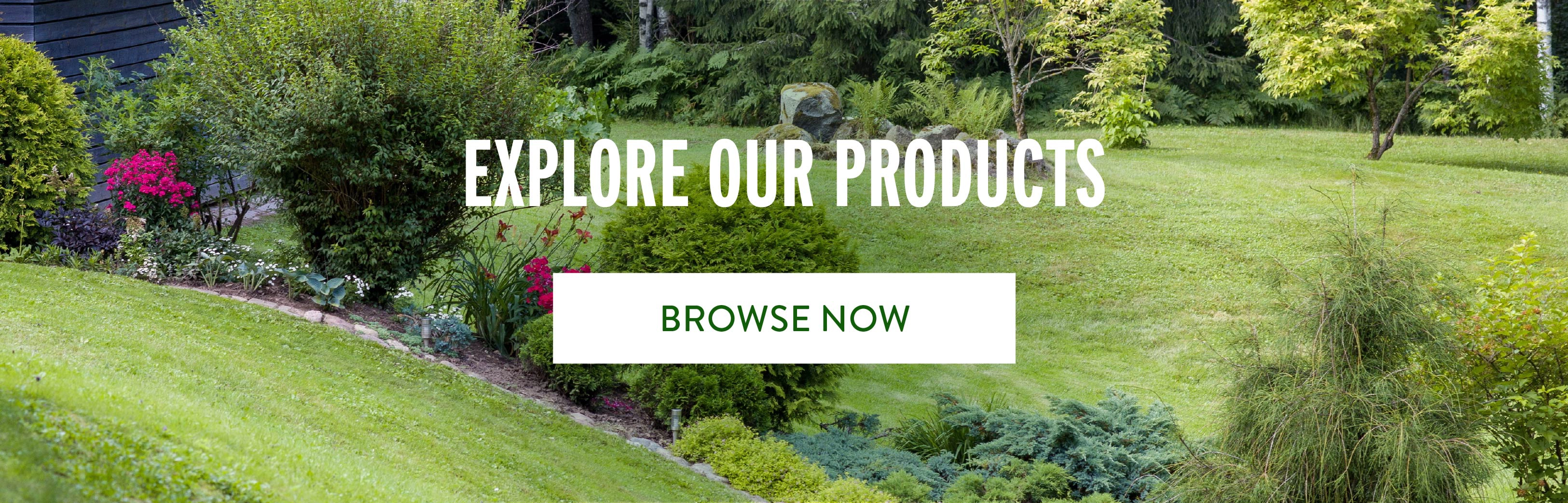 Garden Background Image