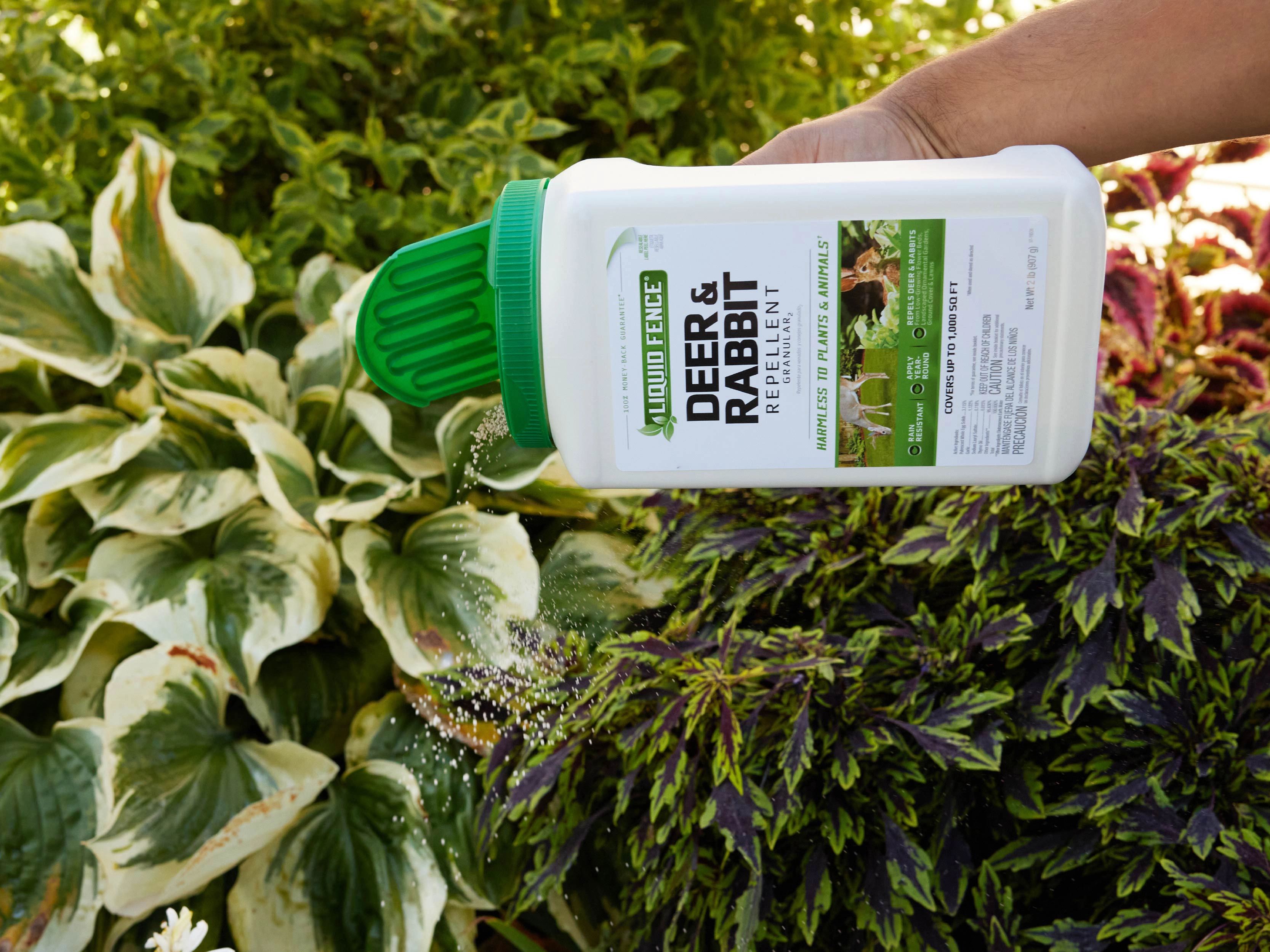 Deer and Rabbit Repellent In Use Image