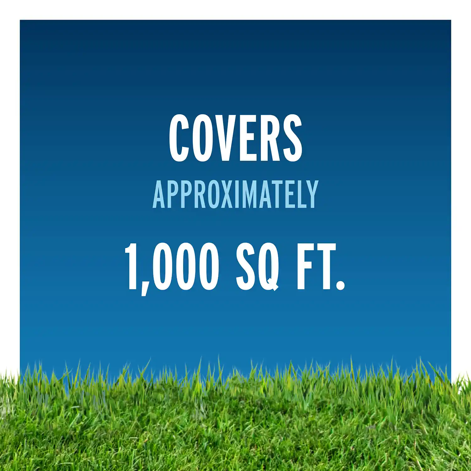 Covers 1000 Sq Ft
