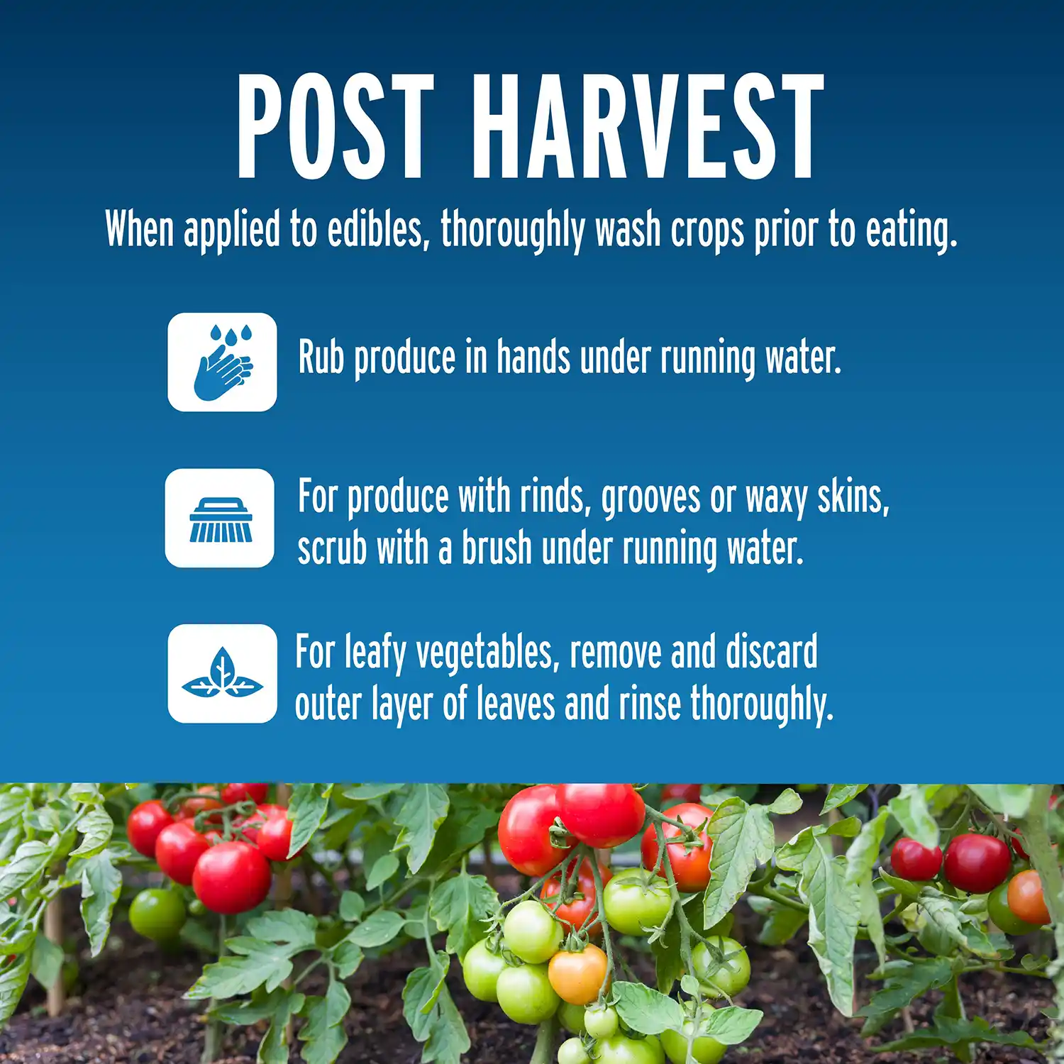Post Harvest