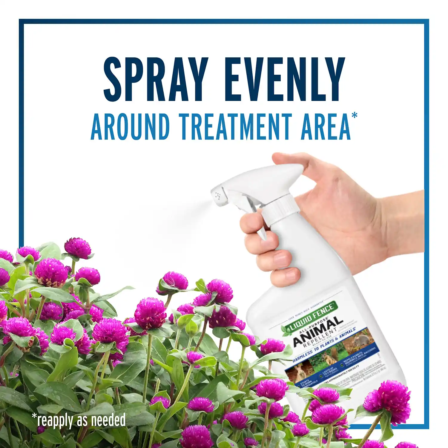 Spray Evenly