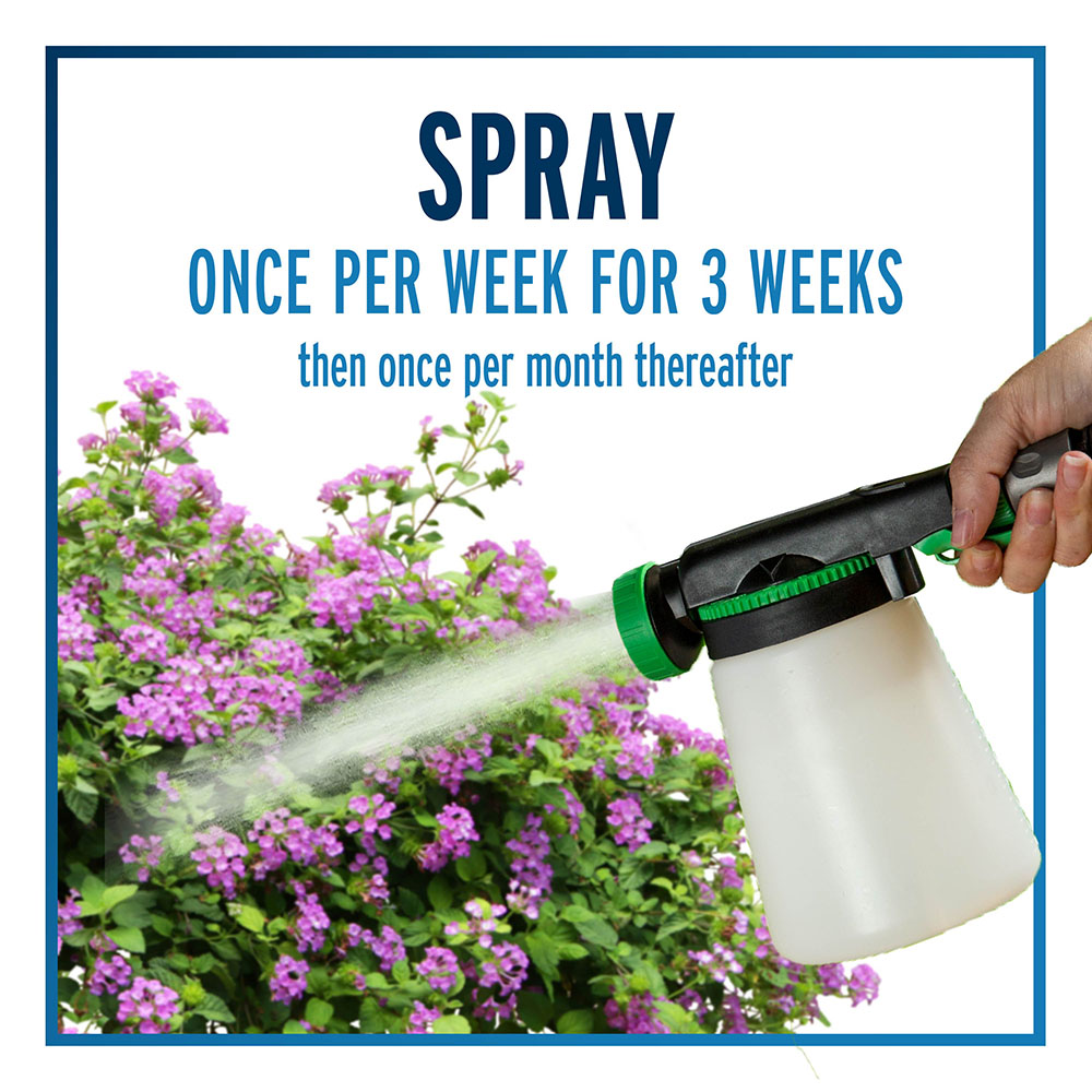 spray once per week for 3 weeks
