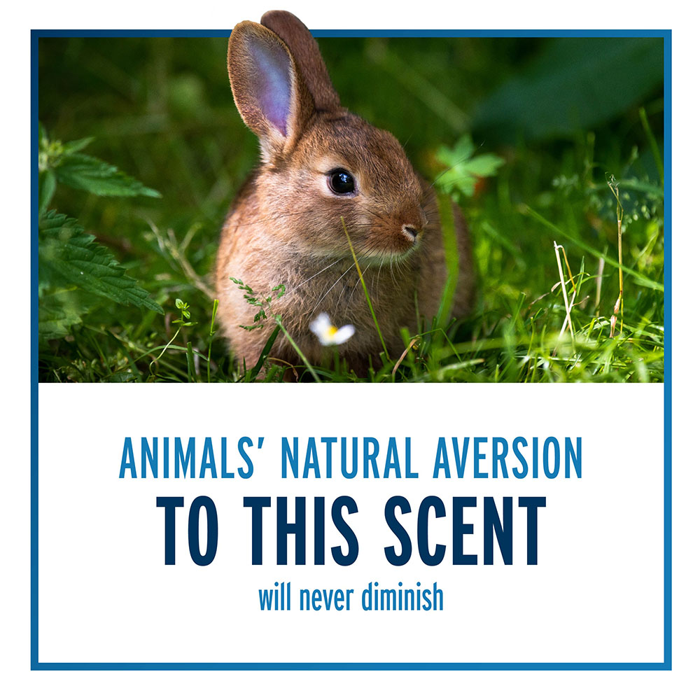 averts animals to this scent