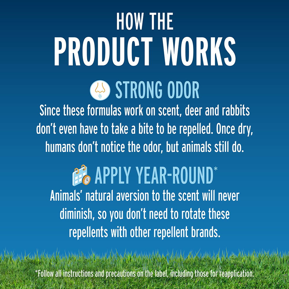Deer & Rabbit Repellent Concentrate₂