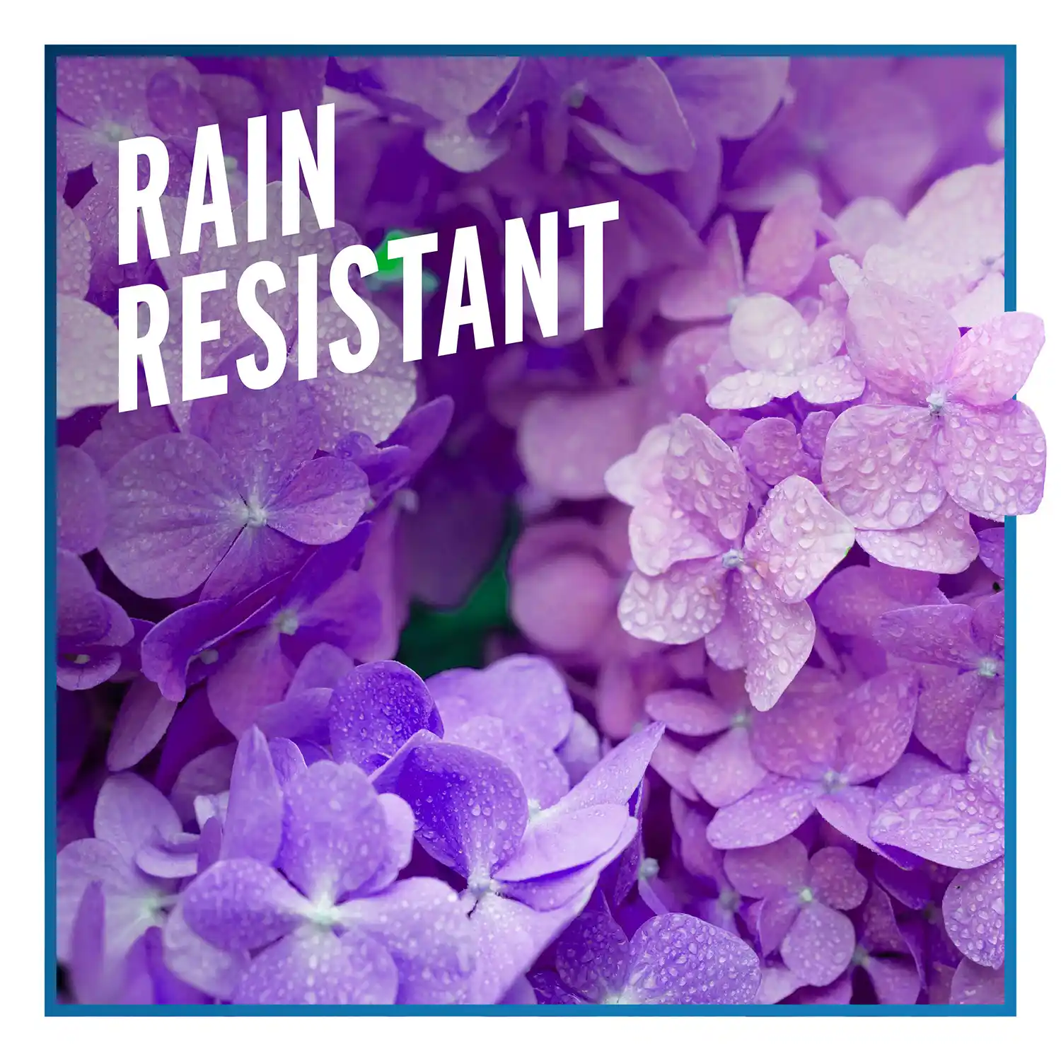 Rain Resistant