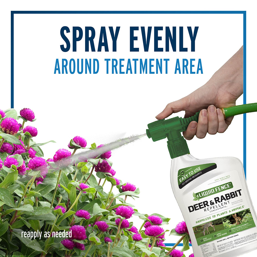 spray evenly around treatment area