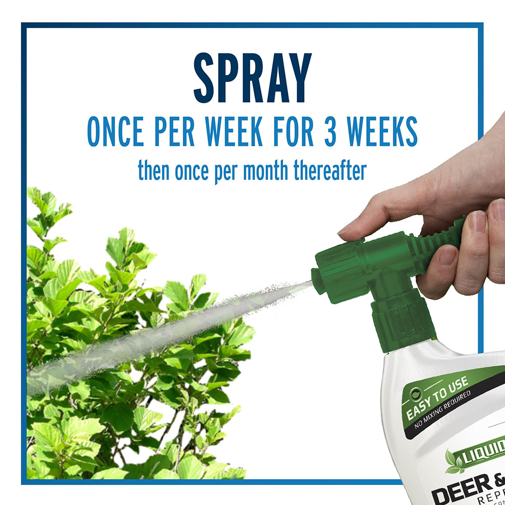 spray once per week for 3 weeks