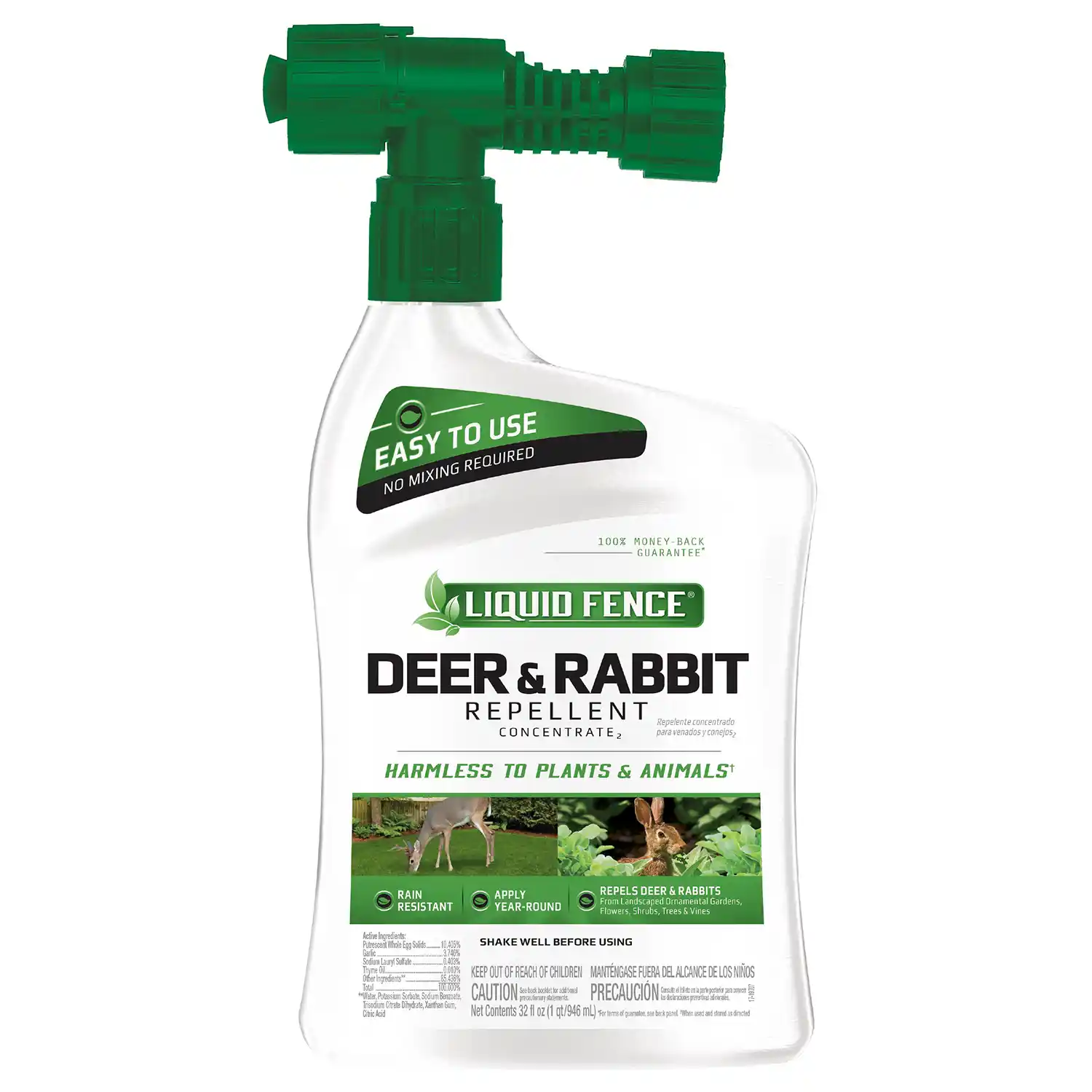 Deer and Rabbit  Ready to Use Front