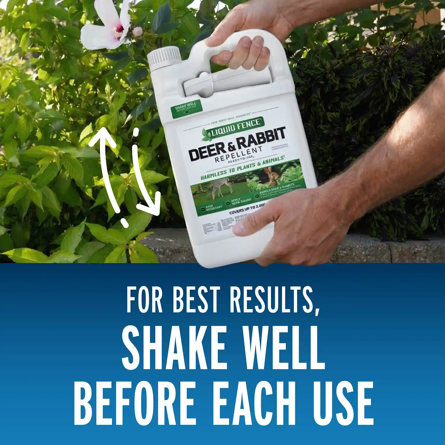 Shake Well for Best Results