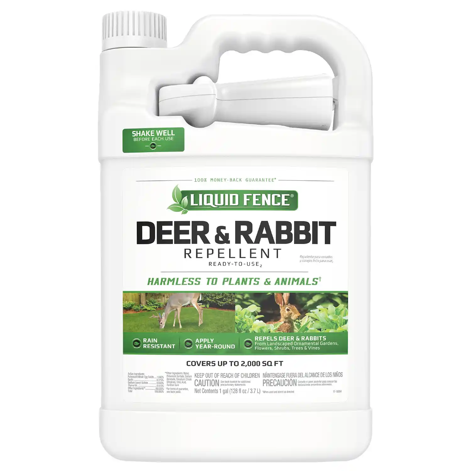 Deer and Rabbit Ready to Use Front