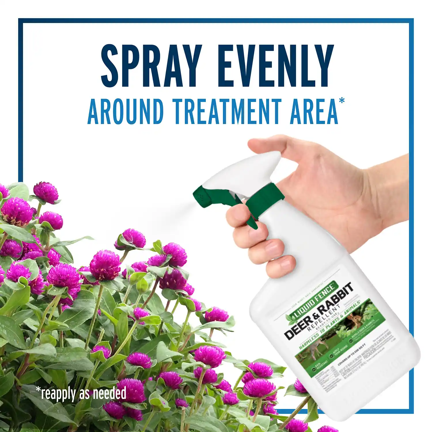 Spray Evenly Around Treatment Area and Reapply As Needed