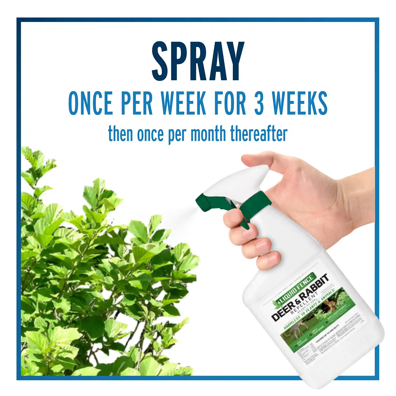 Spray Once Per Week For 3 Weeks Then Once Per Month Thereafter