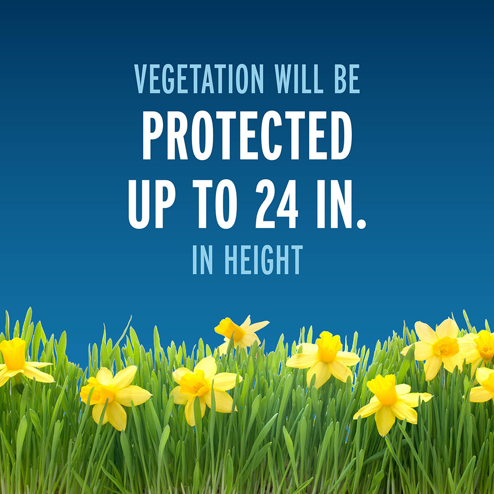 vegetation will be protected up to 24 inches in height