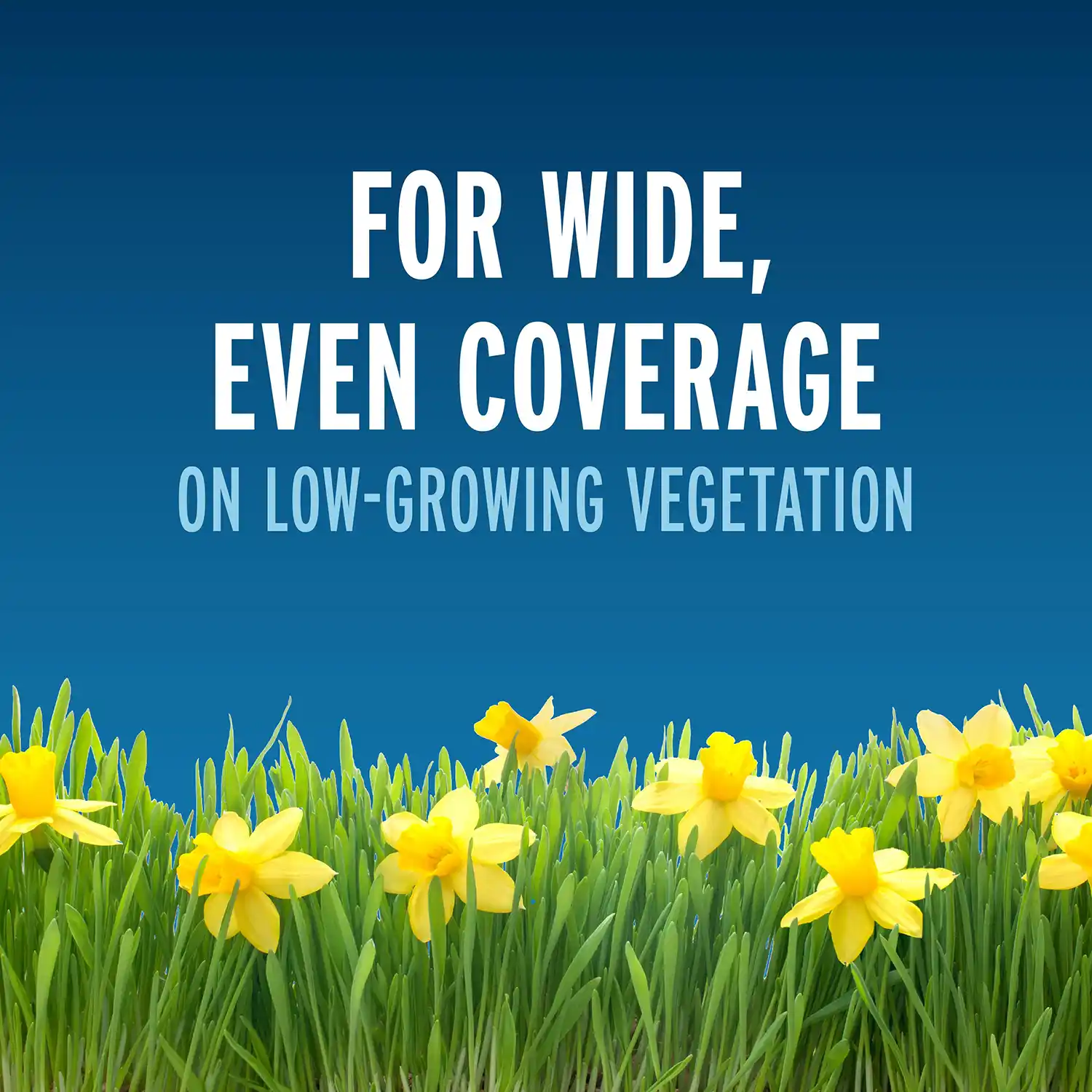 For Wide Even Coverage