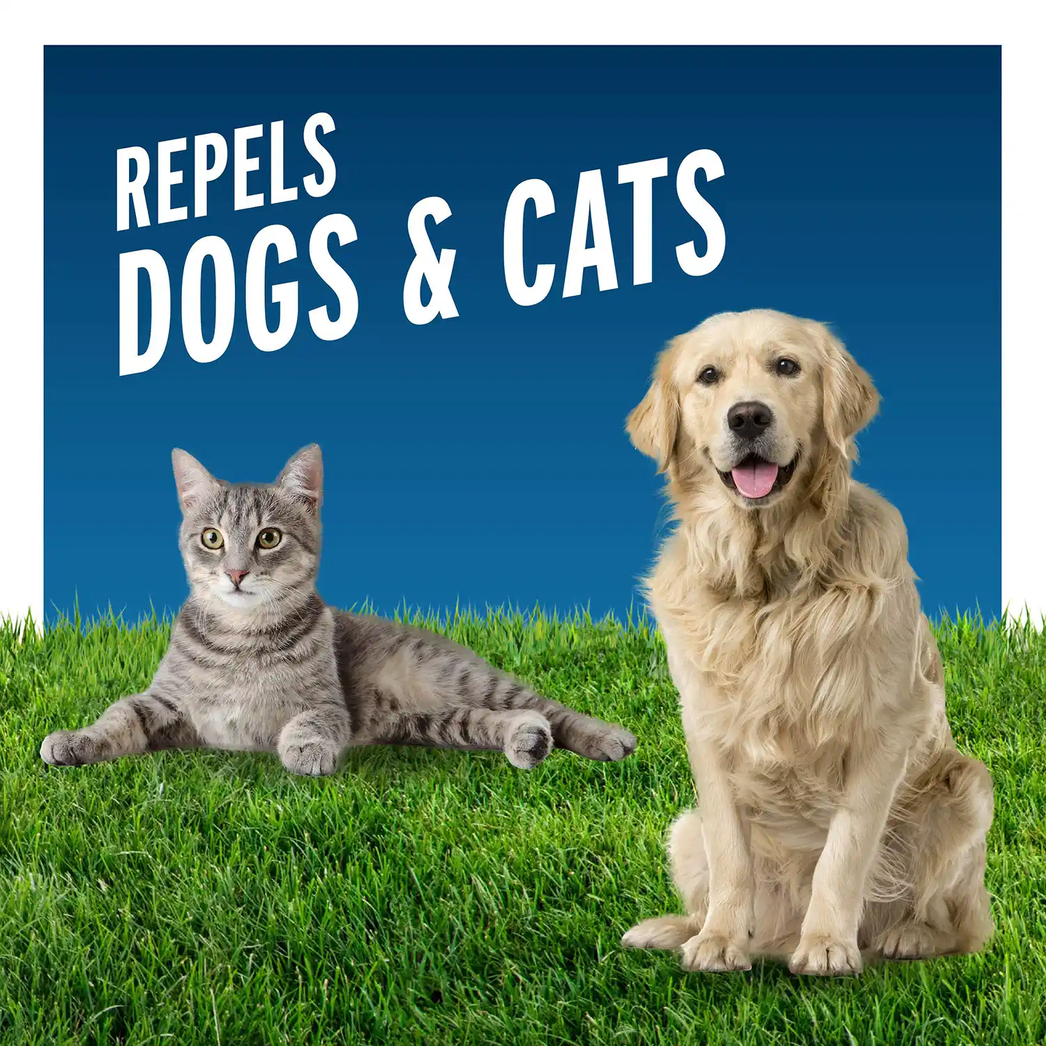 Repels Dogs and Cats