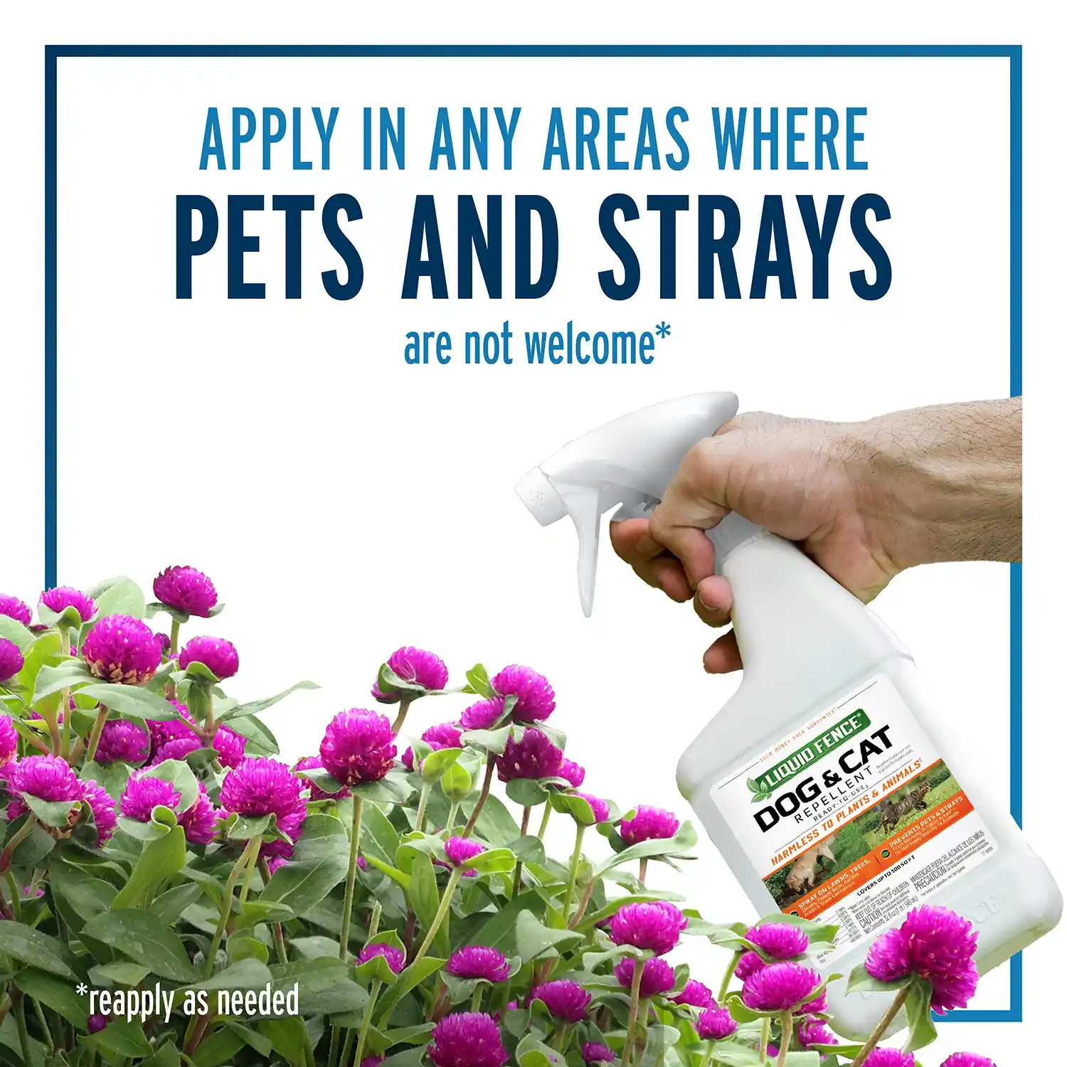 Apply in Any Areas